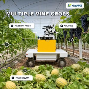 Robot recolector de uvas para invernaderos y huertos, robot recolector para <span class=keywords><strong>España</strong></span> - Product Image 4
