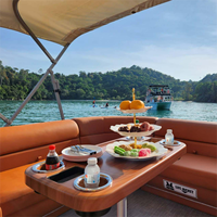 Bateau ponton de luxe à deux étages de 30 pieds, design tout-en-un 2026, avec éclairage LED sur le pont et salle de bain pour les pêches en famille et les fêtes