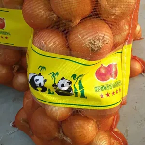 Vietnam fresh red onion in bulk export to UAE, USA, EU - Wholesale for fresh onion / white onion - Big Sale for small onions