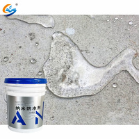 Peinture liquide imperméable en gros, 100 % silicone, spray imperméabilisant pour toiture, revêtement nano imperméabilisant, fournisseur