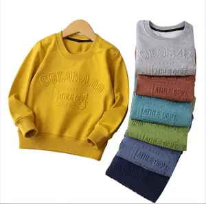 Aangepaste Groothandel 100% Katoenen Ronde Hals Effen Pullover Heren 3d Reliëf Ronde Hals Sweatshirts Hoody