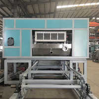 Máquina secadora para fabricar bandejas de huevos de China con componentes clave en oferta: PLC, bomba, rodamientos, caja de engranajes, motor, engranajes