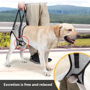 Correas transpirables ajustables Arnés de soporte de pierna trasera para perros Eslinga de recuperación de asistencia suave para perros paralizados Arneses para mascotas - Product Image 3