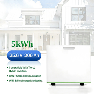 Smart Home Energy Storage 25.6V 5kWh LiFePO4 Battery Cabinet <b>Rack</b>-Mounted IP65 All-In-One 200Ah for Modern Residential Use - Product Image 5