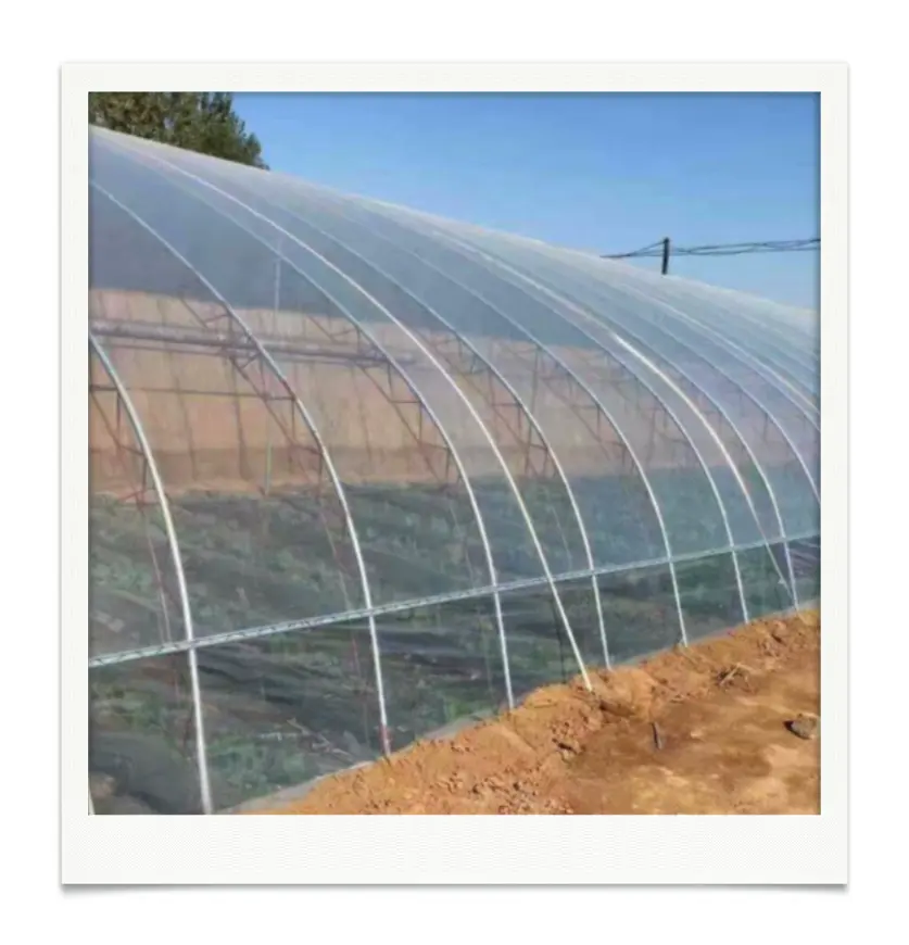 Ldpe/hdpe-hdpe-סרט פלסטיק חממות