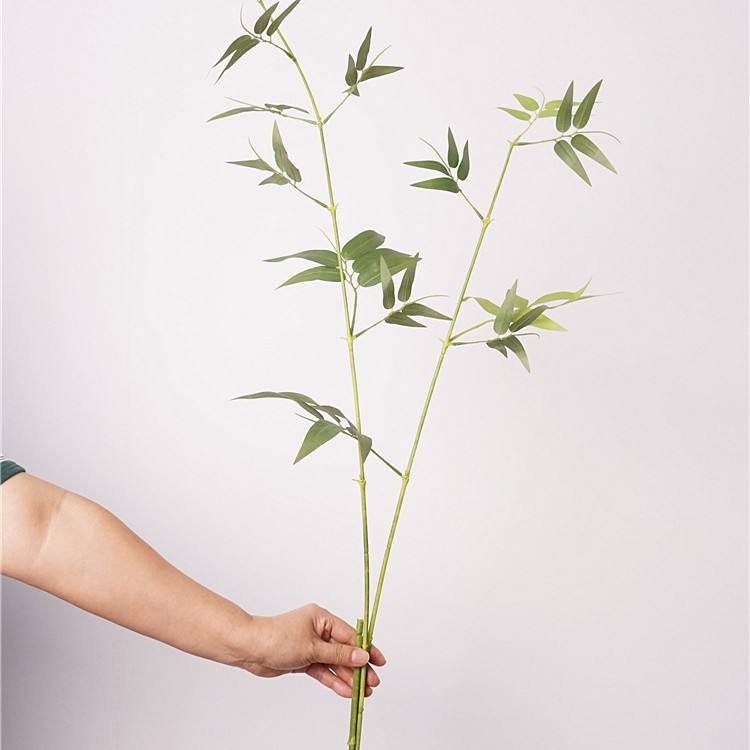 2 petites feuilles de bambou vertes