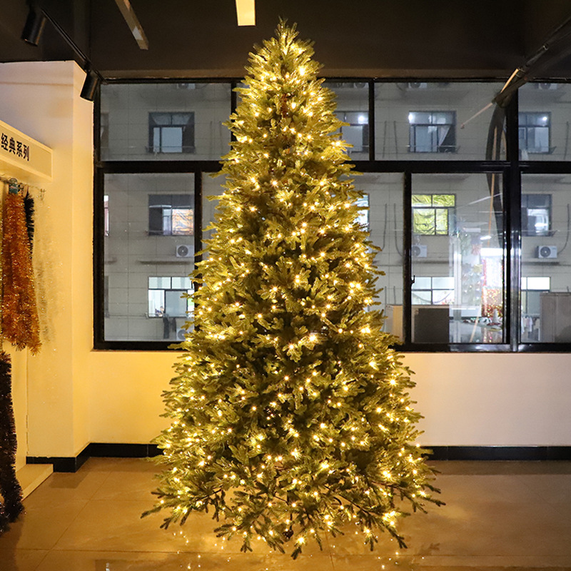 Full PE + Pre light 3m