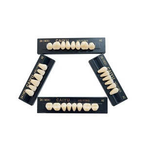 Source d'alimentation manuelle de l'usine CAIYU certifié CE ISO deux couches de <span class=keywords><strong>dents</strong></span> en résine synthétique ensemble complet de <span class=keywords><strong>dents</strong></span> en résine <span class=keywords><strong>composite</strong></span> - Product Image 6