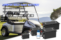 Harga Pabrik 14 Tahun Pengalaman 64V 105Ah 200Ah BMS Lifepo4 Baterai Daya untuk Baterai Golf Cart Merek DELONG 2000 Siklus