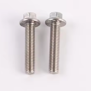 DIN6921 RVS 316 Flensbout A4-80, hoogwaardige treksterkte, projectklare bevestiging voor Afrikaanse bruggen & stalen constructies - Product Image 1