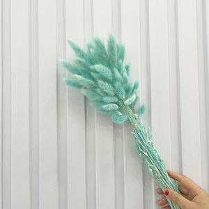 Erba di Coniglio Naturale Essiccata Ecologica, Decorazione <span class=keywords><strong>Boho</strong></span> per la Festa della Mamma e San Valentino - Product Image 5