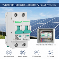 Disjoncteur miniature solaire DC 1000V 2P 10-63A 6kA PV MCB EN-IEC 60947-2 Photovoltaïque