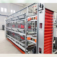 Cage à Poules Pondeuses Automatique Type H | Équipement Avicole de Haute Qualité pour 200 à 1000 Oiseaux
