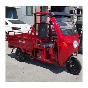 Farm Agriculture Motorized Electric Tricycle Covered For Adult / Cheap Electric 3 Wheel Motorcycle Tricycle Cargo Bike With Roof