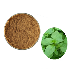 Оптовая цена: Чистый натуральный пищевой экстракт кошачьей мяты (Nepeta Cataria) в порошке, 1 кг, минимальный заказ, травяной экстракт в барабанной упаковке - Product Image 1