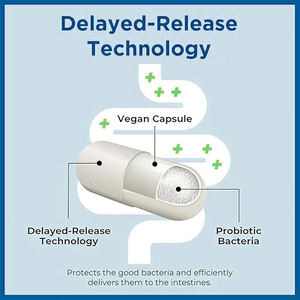 Cápsulas de Probióticos de Alta Calidad OEM/ODM de Marca Privada, Enzimas Digestivas, Refuerzo del Sistema Inmunitario para Adultos - Product Image 5