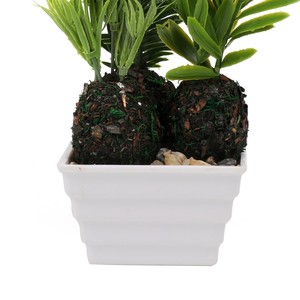 <span class=keywords><strong>Plantas</strong></span> artificiales encantadoras con maceta <span class=keywords><strong>de</strong></span> simulación <span class=keywords><strong>de</strong></span> suculentas, Mini bonsái en maceta, <span class=keywords><strong>plantas</strong></span> artificiales verdes - Product Image 5