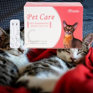 สายสวนสำหรับสุนัขสัตวแพทย์แบบใช้แล้วทิ้งพร้อมสายสวนแบบมีสายฉีดสำหรับสัตว์เลี้ยงขนาด1.3มม. - Product Image 6