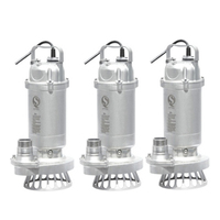 WQ (D) série S304 acier inoxydable 2HP 1.5 pouces-2 pouces 10m pompe à boue Submersible Portable monophasé