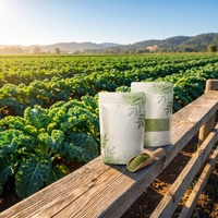 Polvo de Kale Orgánico Sin OMG HALAL, Grado Alimenticio, Venta al Por Mayor, 24 Meses de Vida Útil para Bebidas