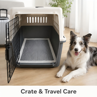 Vente en gros usine de tapis d'apprentissage jetables pour chiens en charbon de bambou et PE, anti-odeur, écologiques, imperméables et anti-fuites, pour l'entraînement des chiots