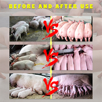 OEM Prémélange pour porcs : Promoteur de croissance, Accélérateur d'engraissement rapide, Stimulateur de mise bas animale, Additif stimulant pour lapins