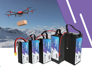 Batería de Estado Sólido de Alta Capacidad 470Wh/kg, 6S 40Ah 23.1V, Descarga 3C 5C para Sistemas de Almacenamiento de Energía de Uso Pesado - Product Image 4