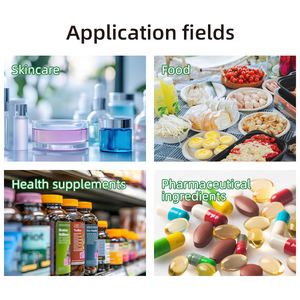 Additif alimentaire <span class=keywords><strong>Wellgreen</strong></span> pour plantes, prix bas, extrait végétal de qualité alimentaire, poudre d'extrait d'Yucca, emballé sous vide en fût - Product Image 3