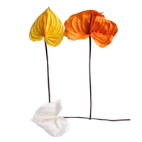 Vente en gros, décoration préservée pour toujours, tête de fleur d'Anthurium naturel pour cadeau de Saint-Valentin