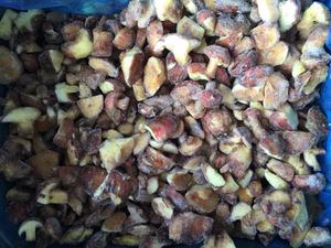 Alta calidad, certificado BRC, IQF, Frozen, <span class=keywords><strong>Boletus</strong></span>, <span class=keywords><strong>Luteus</strong></span> - Product Image 2