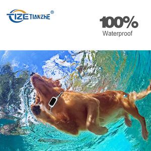 De mascotas venta caliente inteligente del animal doméstico comportamiento educación remoto perro <span class=keywords><strong>Collar</strong></span> de entrenamiento - Product Image 6