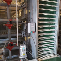 Cage à poules automatique durable pour élevage avicole |   Équipement de production d'œufs de haute qualité