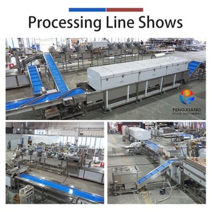 Línea de Producción 3 en 1 Personalizable para el Lavado, Pelado, Corte y Fritura de Taro, Línea Industrial de Procesamiento de Taro - Product Image 3