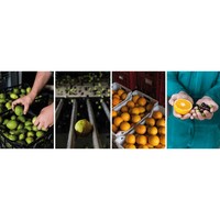 Urisni Italiaanse Extra Vierge Olijfolie Met Sinaasappelspecerij 250 Ml Glazen Fles