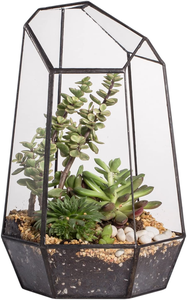 Tự Làm Tabletop Không Thường Xuyên <span class=keywords><strong>Glass</strong></span> Hình Học Cây Không Khí <span class=keywords><strong>Terrarium</strong></span> Hộp Máy Tính Để Bàn Kính Hiển Thị Trồng Cây Mọng Nước Hộp Hoa - Product Image 2