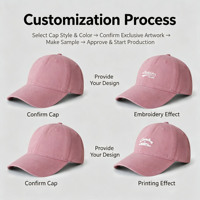 Casquette de baseball 6 panneaux avec logo 3D Wins Flying, cadeau promotionnel de haute qualité, casquette de sport d'équipe, broderie personnalisée réglable