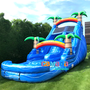 Toboggan gonflable de piscine d'eau de palmier de bâche de PVC le plus vendu 16ft personnalisent les toboggans gonflables - Product Image 2