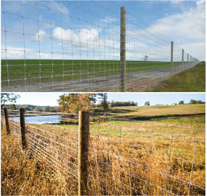 Malla de cerco/ovejas/granja/campo/valla de malla de alambre de ciervo valla de pradera galvanizada - Product Image 6