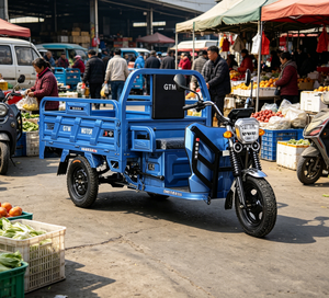 Triciclo Eléctrico de Carga, Tipo King, Volquete, Agrícola, Fabricantes Transfronterizos, Carrocería Abierta, Batería de 12V - Product Image 3