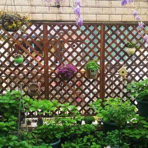 Lit de jardin surélevé en <span class=keywords><strong>bois</strong></span> avec treillis pour escalade de vigne carbonisé pour la culture de légumes herbes fleurs - Product Image 5