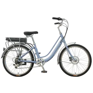 성인용 맞춤형 로고 36V 250W 리어 모터 드라이브 e-bike 24 인치 합금 프레임 전기 도시 자전거