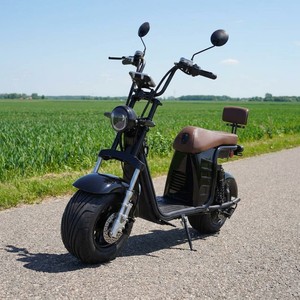 Scooter Todoterreno con Llantas Gruesas de 10 Pulgadas, Pantalla Digital, Motor sin Escobillas de 1000w, Batería de Litio de 40ah, Control Dual, 200kg X26 Precio - Product Image 5