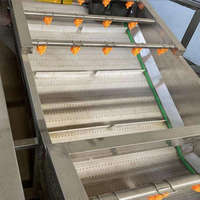 Fabrieks prijs roestvrij staal 304 automatische groente- en fruitwasmachine met motor & pomp