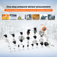 Capteur de pression à diaphragme et transmetteur indicateur WTsensor CE RoHS en acier inoxydable 304/316 IP65/IP68 0-10V 0-5V