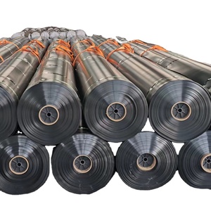 Геотехническая пленка HDPE с 30 - летним опытом производства у подножия горы Тайшань в Шаньдуне, Китай - Product Image 1
