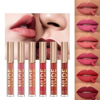 Gloss à lèvres mat en velours en gros, végan, imperméable, longue durée, rouge à lèvres liquide, gloss à lèvres volumateur, maquillage