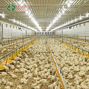 Conception de ferme avicole <span class=keywords><strong>à</strong></span> bas prix Abri d'équipement pour poulets de chair Mangeoire automatique pour poulet - Product Image 2