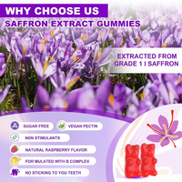 Gummies au Safran 10-en-1 Soutien du Sommeil et de l'Humeur Complément Alimentaire Ashwagandha L-Théanine Rhodiola Saveur Framboise 60 Unités Sans Sucre Pour Adultes