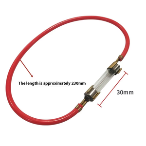 Fuente de alimentación directa de fábrica, tubo de fusible, caja de alambre doble, nueva condición, accesorios para motocicleta y Scooter, <span class=keywords><strong>seguro</strong></span> para bicicleta Scooter - Product Image 4