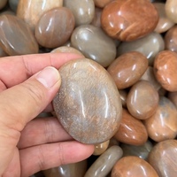 Pierres de Palmier en Pierre de Lune Pêche Naturelle en Gros, Polies et Roulées, Cristaux de Poche pour la Guérison, pour Bijoux en Cristal et Décoration Intérieure